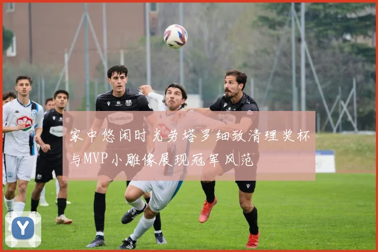 家中悠闲时光劳塔罗细致清理奖杯与MVP小雕像展现冠军风范