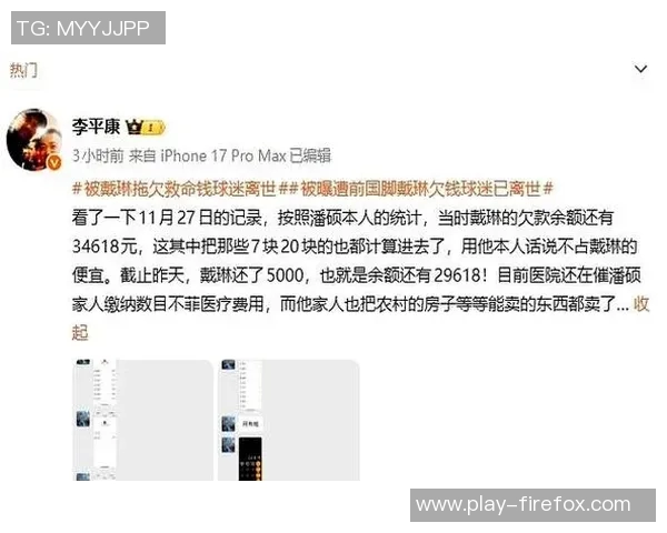 李平康呼吁债权人加入维权群体共同追讨戴琳未还款项